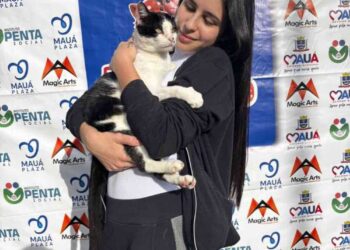 Evento de Adoção busca lares para pets em famílias de Mauá neste sábado