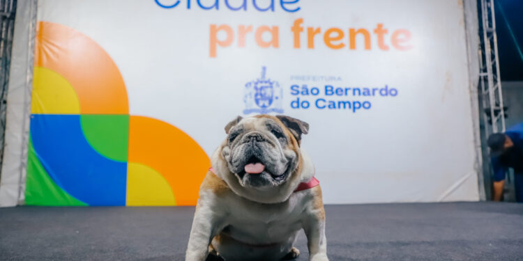 Após requalificação, Hospital Veterinário de São Bernardo irá funcionar 24 horas