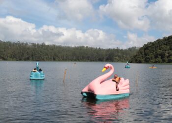 Pedalinhos voltam a ser atração no Parque Oriental de Ribeirão Pires neste feriado de Carnaval