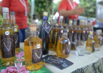 Festival do Cambuci de São Bernardo terá nova edição em abril no Parque Salvador Arena