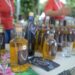 Festival do Cambuci de São Bernardo terá nova edição em abril no Parque Salvador Arena