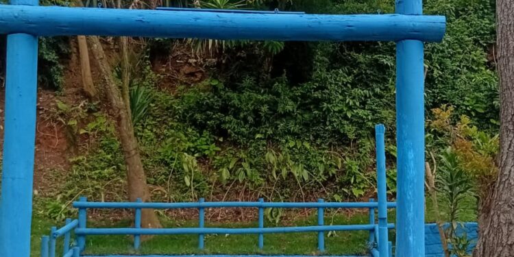 Atividades buscam criar um ambiente melhor de se conviver em Mauá