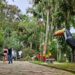 Circo no Parque é atração gratuita para famílias em Ribeirão Pires neste sábado