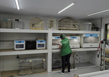 Doação de equipamentos reforça trabalho do Zoológico de São Bernardo