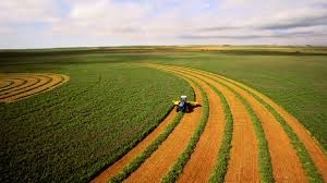 PIB do Brasil cresce 2,3% em 2025 impulsionado pelo agronegócio
