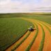 PIB do Brasil cresce 2,3% em 2025 impulsionado pelo agronegócio