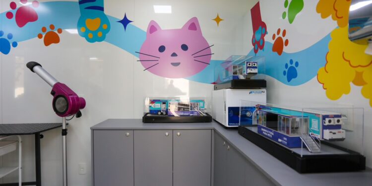Santo André recebe curso gratuito de banhista de pet