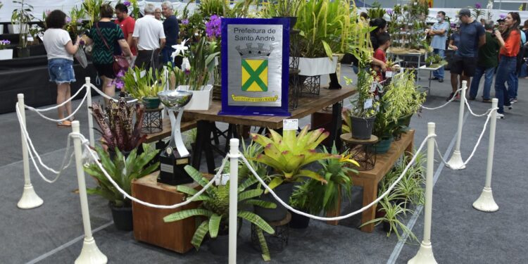 Festival de Flores de Santo André chega à 50ª edição neste fim de semana