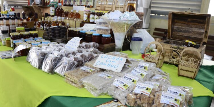 Festival do Cambuci de Paranapiacaba reúne gastronomia, cultura e lazer a partir deste sábado