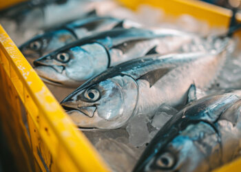 Diadema realiza Campanha do Pescado até a Sexta-Feira Santa