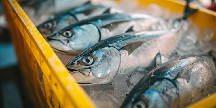 Diadema realiza Campanha do Pescado até a Sexta-Feira Santa