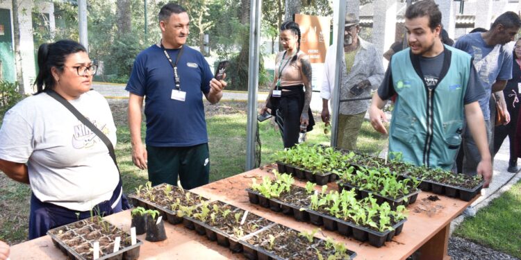 Quintal Verde Vila Guiomar completa um ano com 15 toneladas de resíduos orgânicos processados