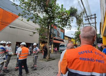 Ribeirão Pires inicia processo para replantio de árvores da Rua do Comércio