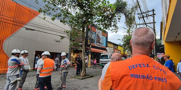 Ribeirão Pires inicia processo para replantio de árvores da Rua do Comércio