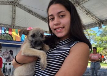 “Tigela Cheia” arrecada 200 kg de recicláveis e garante novos lares para 9 pets em RP