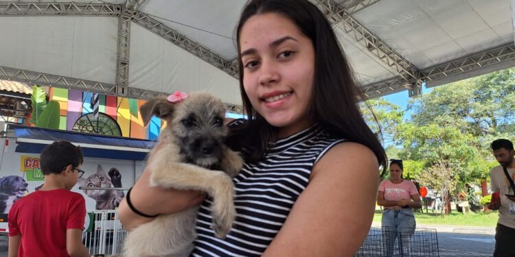 “Tigela Cheia” arrecada 200 kg de recicláveis e garante novos lares para 9 pets em RP