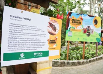 Mauá inaugura segundo Jardim das Abelhas sem Ferrão e amplia ações de educação ambiental