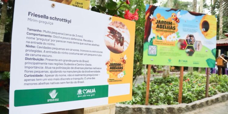 Mauá inaugura segundo Jardim das Abelhas sem Ferrão e amplia ações de educação ambiental