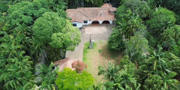 Parque Criativo transforma domingo em celebração da arte, cultura e gastronomia no Pastoril no próximo dia 17