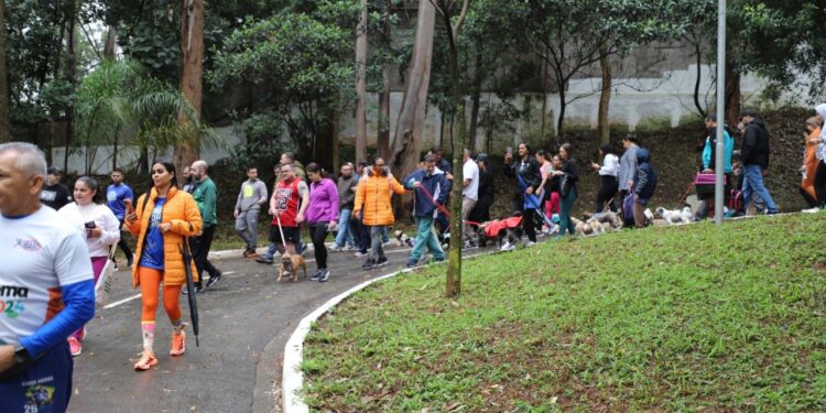 Segunda CãoMinhada reúne centenas de animais no Paço de Diadema