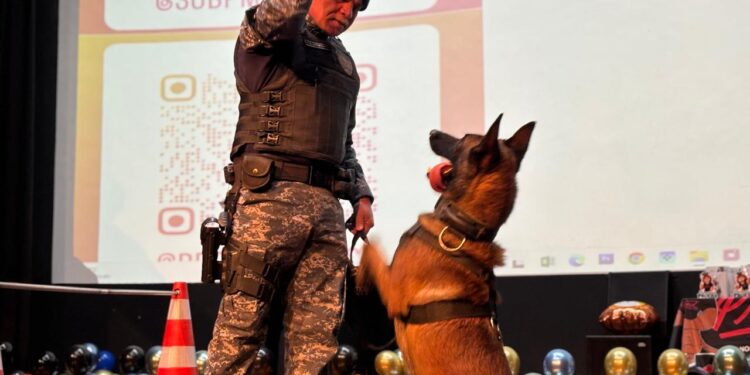 Canil da GCM de  RP leva projeto “Cão Amigo” do Proerd e agita formatura