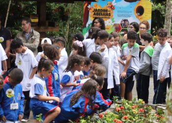 Marcelo Oliveira sanciona lei que cria Plano Municipal de Educação Ambiental em Mauá