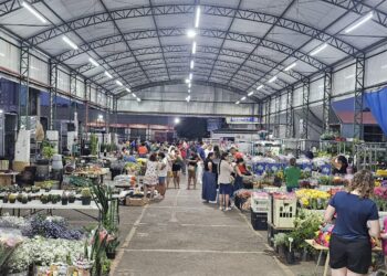 Craisa conta com diversas opções de flores para presentear no Dia dos Namorados