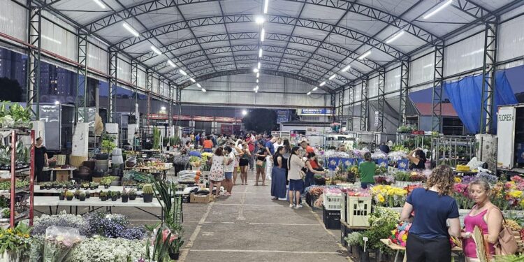 Craisa conta com diversas opções de flores para presentear no Dia dos Namorados