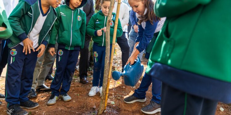 São Caetano e ENEL fecham parceria visando plantio de mais de 100 árvores na cidade