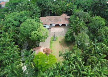 1ª Feira Mística – Jardim dos Elementos promove dia de espiritualidade, cultura e bem-estar em RP