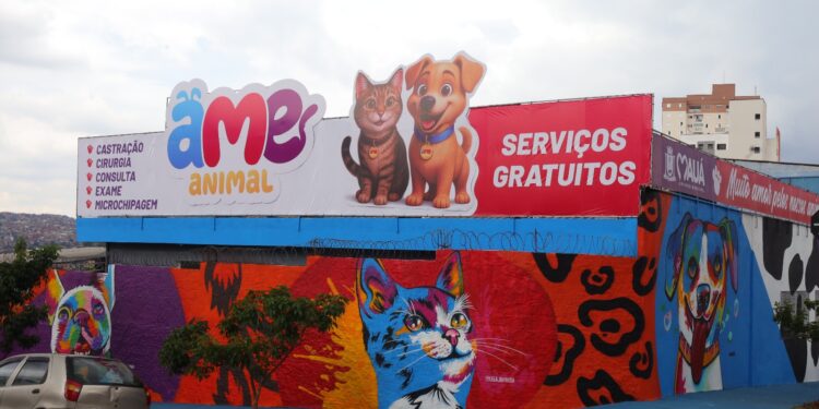 Mauá inicia campanha do agasalho para cães e gatos