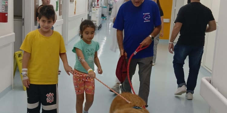 Hospital de Urgência de São Bernardo recebe visita de cães terapeutas