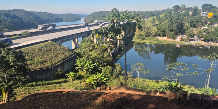 Área degradada às margens da Billings, em Santo André, recebe recuperação ambiental