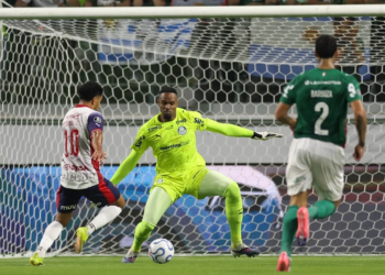 Goleiro do Palmeiras tranquiliza torcida