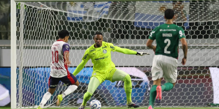 Goleiro do Palmeiras tranquiliza torcida
