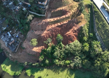 Santo André refloresta área degradada no Parque Miami