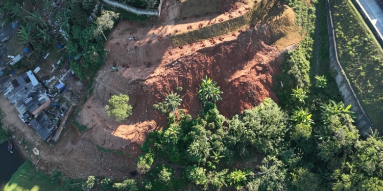 Santo André refloresta área degradada no Parque Miami