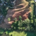 Santo André refloresta área degradada no Parque Miami