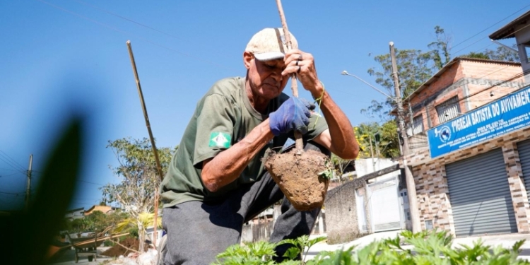 Ribeirão Pires realiza plantio de 100 árvores na Avenida Flórida