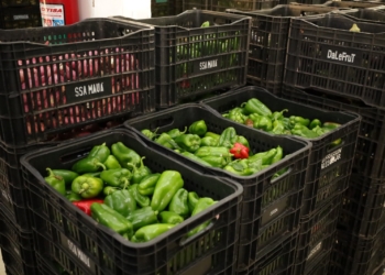 Mauá abre chamamento para entidades integrarem o Banco de Alimentos