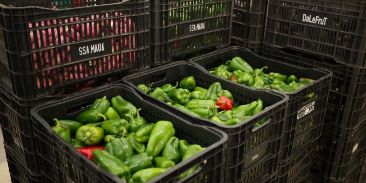Mauá abre chamamento para entidades integrarem o Banco de Alimentos