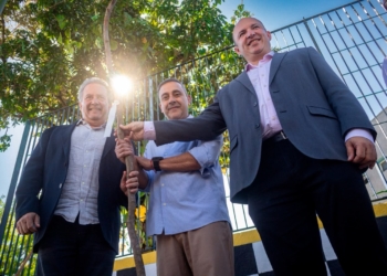Ribeirão Pires inicia projeto para substituir árvores que oferecem risco à população e à rede elétrica