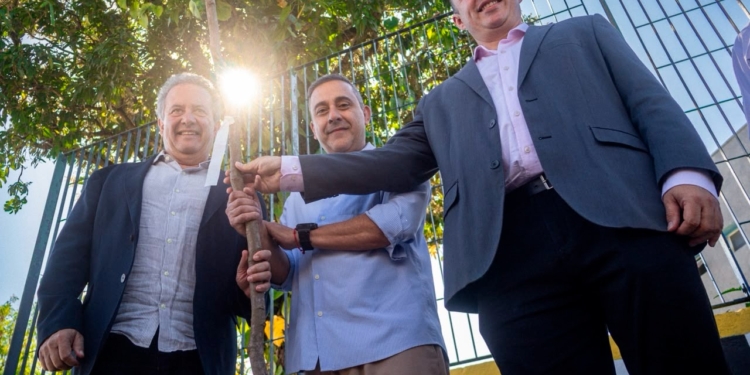 Ribeirão Pires inicia projeto para substituir árvores que oferecem risco à população e à rede elétrica