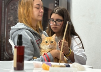 Festival do Chocolate terá bem-estar, sustentabilidade e proteção animal em RP neste domingo