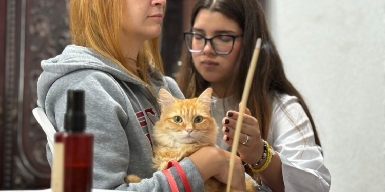 Festival do Chocolate terá bem-estar, sustentabilidade e proteção animal em RP neste domingo