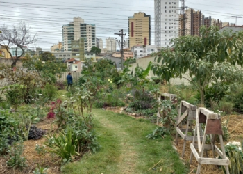 São Bernardo busca fortalecer agricultura urbana