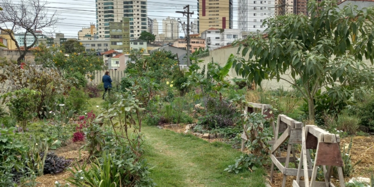São Bernardo busca fortalecer agricultura urbana