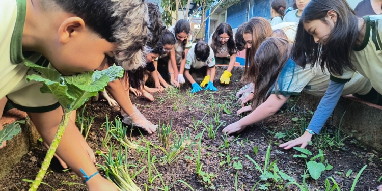 Da terra para a vida: alunos de RP colhem batata-doce e aprendem sobre emoções