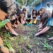 Da terra para a vida: alunos de RP colhem batata-doce e aprendem sobre emoções