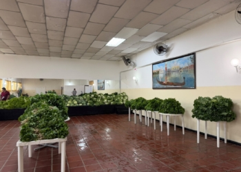 Rio Grande da Serra distribui 300 cestas verdes para famílias em vulnerabilidade social
